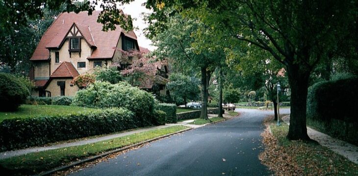 In der Stadt zur Ruhe kommen: 7 Waldbaden-Tipps für urbane Räume
