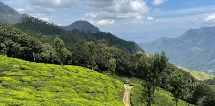 Ganzheitliches Leben gewinnt in den Westghats Indiens an Bedeutung